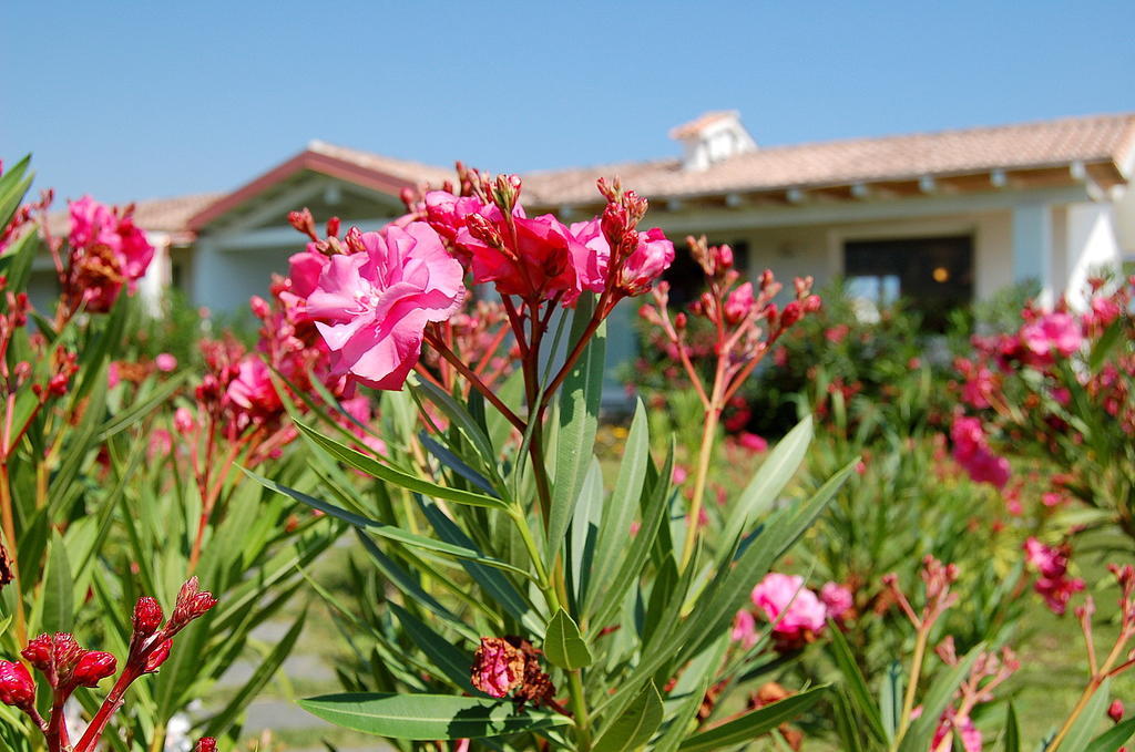 Hotel Budoni Beach